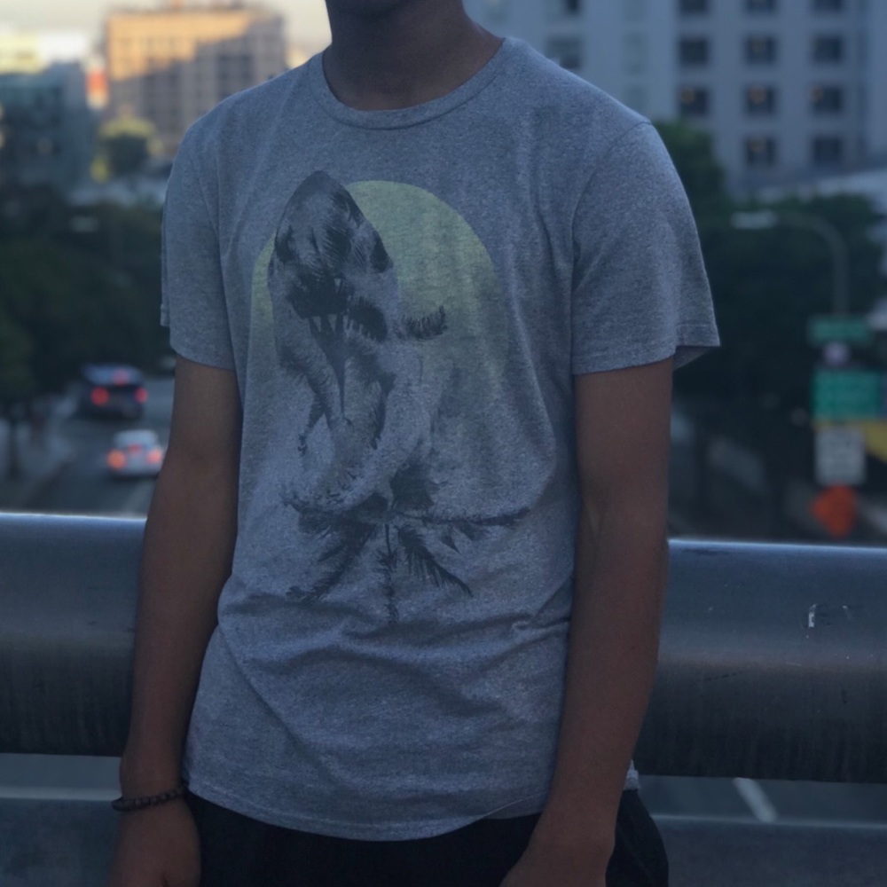 Hollister T-Shirt Short Sleeve